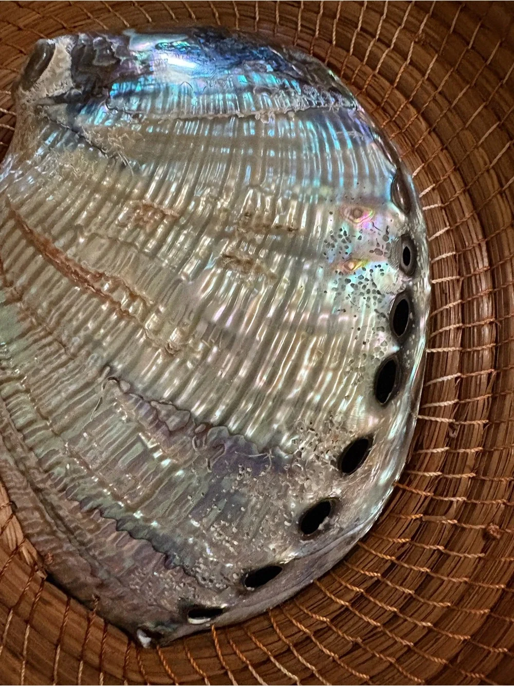 Woven Rattan Wall Basket with Decorative Shells